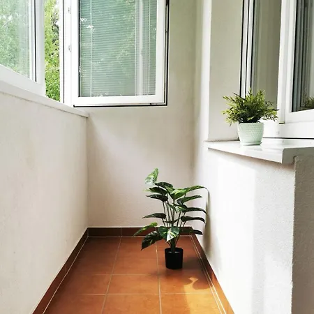 Adam Appartement